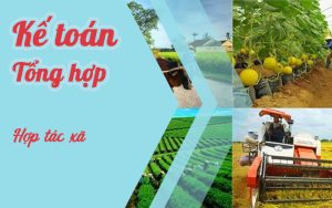Khóa học tổng hợp kế toán hợp tác xã nông nghiệp