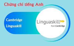 Chứng chỉ quốc tế Linguaskill