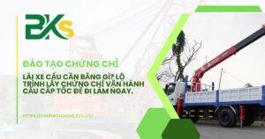 Lái xe cẩu bằng gì lộ trình lấy chứng chỉ vận hành
